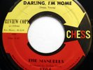MANDELLS 45 Darling I'm Home / Who Me? PROMO Doo Wop mg962