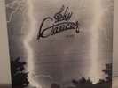 SKY DANCER   ALIVE LP   Rare Orig.  Private 1977 Hard Rock / Psych LP SEALED