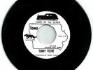 TERRY TEENE WILD HALLOWEEN GARAGE ‘CURSE OF THE HEARSE”/PUSSY GALORE” NM Single
