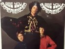 Jimi Hendrix Are You Experienced  Original 1967 Mono Track Record Mint