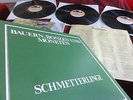 SCHMETTERLINGE  