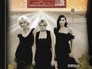 DIXIE CHICKS**HOME (150 G/RM/WITH DOWNLOAD/GATEFOLD)**2 VINYL SET