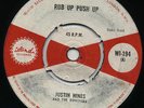 RUB UP PUSH UP ( Club Ska )/ THE ARK ( Killer Vocal )  JUSTIN HINDS & DOMINOES ?