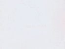 Beatles - The White Album, LOW NUMBER, (EX),Apple,12