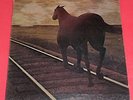 Bruce Cockburn -- Night vision   -- LP / Rock Songwriter / gold vinyl