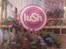 Lush Lovelife Vinyl Rare Clear Vinyl Shoegaze Ride MBV 4AD