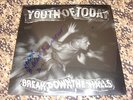 YOUTH OF TODAY breakdown LP ORANGE CV sxe nyhc gorilla biscuits cro-mags warzone