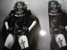 MADONNA VERY RARE LTD ED  LP PICTURE DISC SEXY COVER NUDE  SLEEVE LIVE TOU