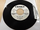THE CORVAIRS HEY SALLY MAE/TRUE TRUE LOVE COMET PROMO 45 DOO WOP R&B