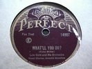 Annette Hanshaw w/ Lou Gold Orch / Williard Robison Orch PERFECT What'll You Do