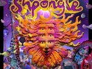 SHPONGLE-MUSEUMS OF CONSCIOUSNESS (VINYL)-VINYL LP (2) TWISTED NEW