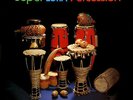 POLIRYTHM UNITY super latin percussion EX/EX JAPAN RVP-6078 16-0427-052