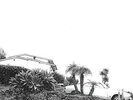 Hot Dreams - Timber Timbre (2014, Vinyl NEU)