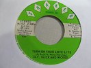 SLY SLICK & WICKED Turn On Your Love Lite 45 SHAKER  70s funk soul VG++  ohio