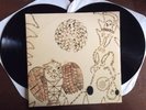Devendra Banhart - Rejoicing in the hands / Nino Rojo ORIGINAL 1st Press YG26 LP