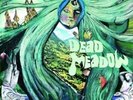 DEAD MEADOW NEW VINYL