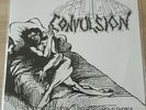 Afflicted Convulsion (Pre Afflicted ) - Convulsive Discography LP