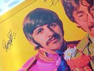 The Beatles 'Sgt Peppers' LP all 4 Signed / Autographs MONO 33RPM