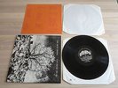 THE BEVIS FROND 2 LP - NEW RIVER HEAD / WORONZOW RECORDS PRESS in MINT Condition