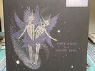 Animal Collective- Spirit They're Gone LP (Mint Condition, DMM, Panda Bear)