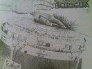 ORQUESTA BORICUA  New reissue from colombia