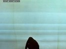 FOALS**WHAT WENT DOWN (180 G/GATEFOLD)**VINYL