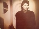 MICHAEL SHRIEVE 'IN SUSPECT TERRAIN'   IMPORT LP RARE/NEW CONDITION