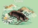 QUASI-FIELD STUDIES (DLCD)  VINYL LP NEW