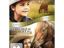 Cowgirls and Angels 1 & 2