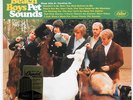 The BEACH BOYS 