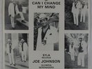 Modern Soul 45 - Joe Johnson - Can I Change My Mind - Syla - VG++ mp3