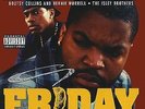 Various - Friday (Soundtrack / O.S.T.) Vinyl 2LP NEU 0953121 | ice cube, nas