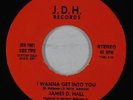 Modern Soul/Funk Boogie 45 - James D. Hall - I Wanna Get Into You - JDH VG++ mp3