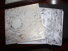 The Devil's Blood - In Tabula Rasa or Death - EU Rock 2LP 2013 Cloth Book RARE