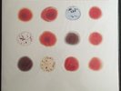 Peter Gabriel: Scratch My Back / And I Scratch Yours (2x 180g Audiophile Vinyl)