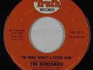 70s Soul 45 - Newcomers - The Whole World's A Picture Show - Truth - mp3