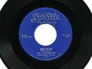 THE DANDERLIERS, SHU-WOP, MY LOVING PARTNER, RARE 1955 DOO WOP, LISTEN 