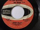 NORTHERN SOUL 45/ JUDY CLAY 