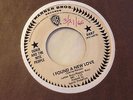 OGNIR & NITE PEOPLE - I FOUND A NEW LOVE - WARNERS WDJ Garage Killer HEAR
