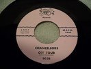 Chancellors 45 