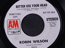 ROBIN WILSON: Better Use Your Head / Bitter Honey 45 (dj, sm tag stain ol) rare