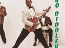 BO DIDDLEY self-titled LP SEALED NEW Vinyl Chuck Berry Muddy Waters