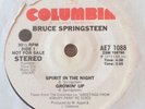  Promo-Only Bruce Springsteen 7