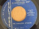 The Fabulous Apollos - Some Good In Everything Bad - Valtone