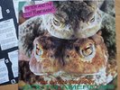 PETER & THE TEST TUBE BABIES their best LP 1983 EJECTED punk VARUKERS kbd ADICTS