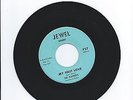 The Playboys, 45 RPM Record, 1964 Rock & Roll, Jewel 737
