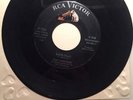 Tony Shepperd ZACH (Zack)  Orig Grail Rockabilly RARE M- 45