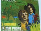 I GIRASOLI     --- a mio padre  ---