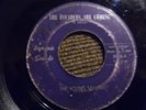 THE YOUNG SAVAGES THE INVADERS ARE COMING DYNAMIC SOUNDS 45 GARAGE BAND 1966