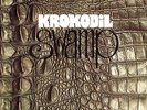 KROKODIL: Swamp (1970); limit. 500 with bonus LP / 2LP NEU